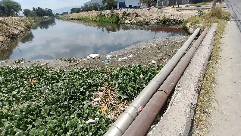 Presa Las Pintas